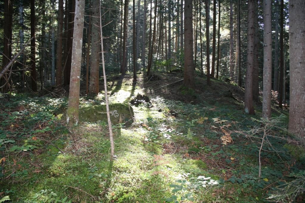 Historijsko područje – Lokalitet Mramorje na Salikovcu u Dolovima